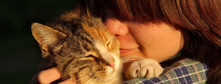 child kissing a calico tabby and white cat