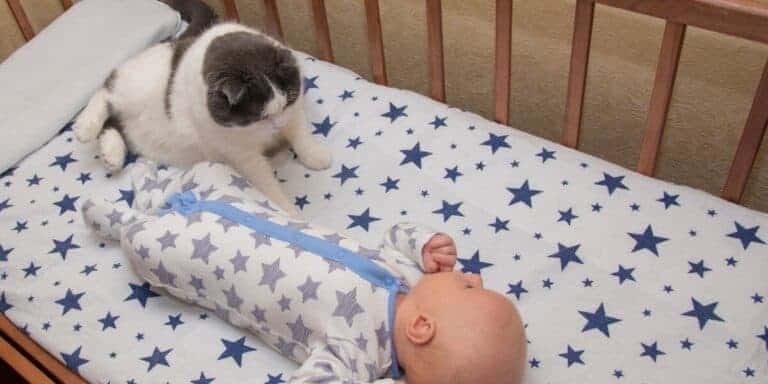 blue and white short hair cat in crib with a baby wearing a blue and white sleepers with stars