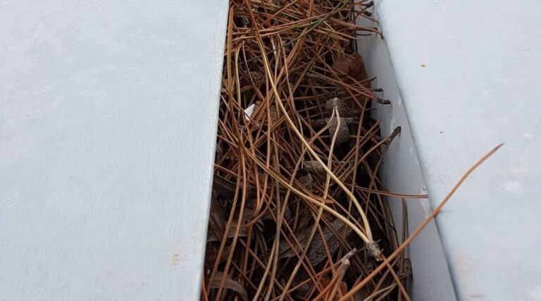 Gutter cleaning and removal of leaves from aluminium gutters on home in Fish Hoek, Cape Town.