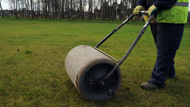 Lawn roller