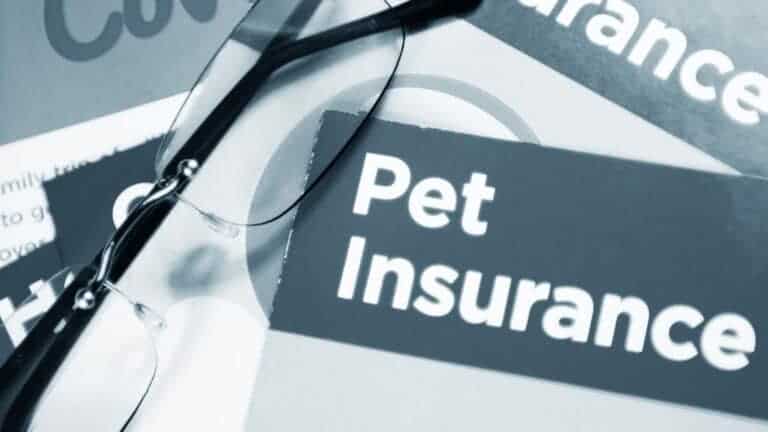 pair of glasses over a pet insurance application