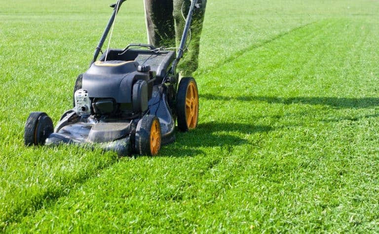 Lawn mower
