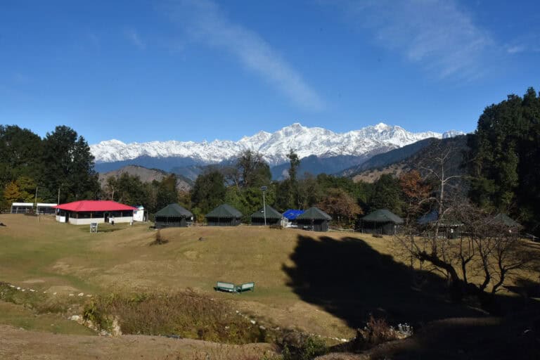 Magpie Jungle Camp Chopta - The best camp of Chopta