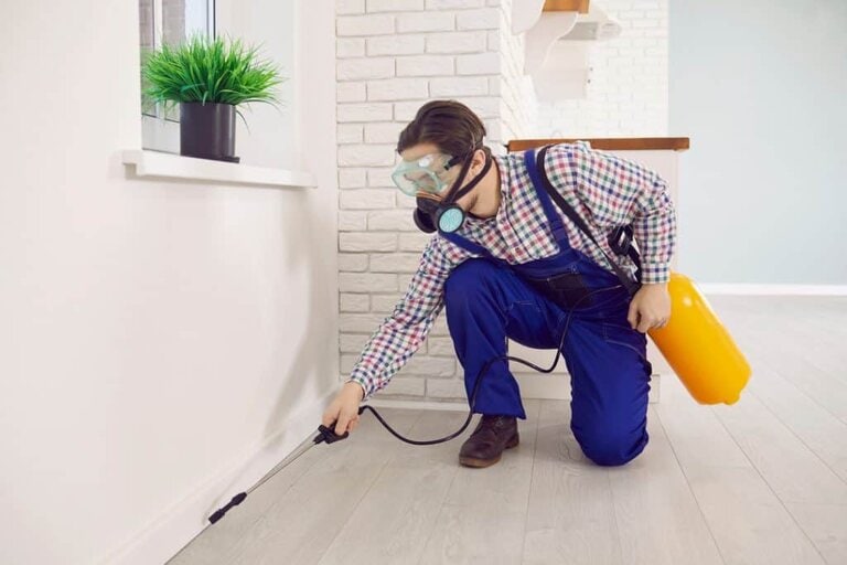 Call A Pest Control Professional