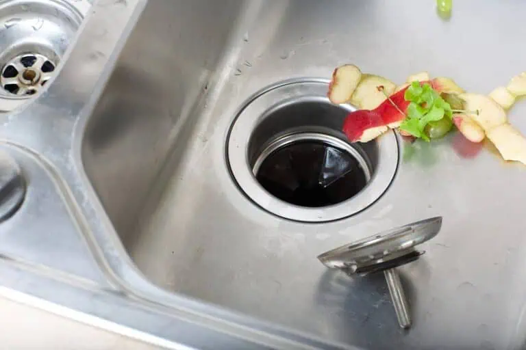 apple skins going down garbage disposal