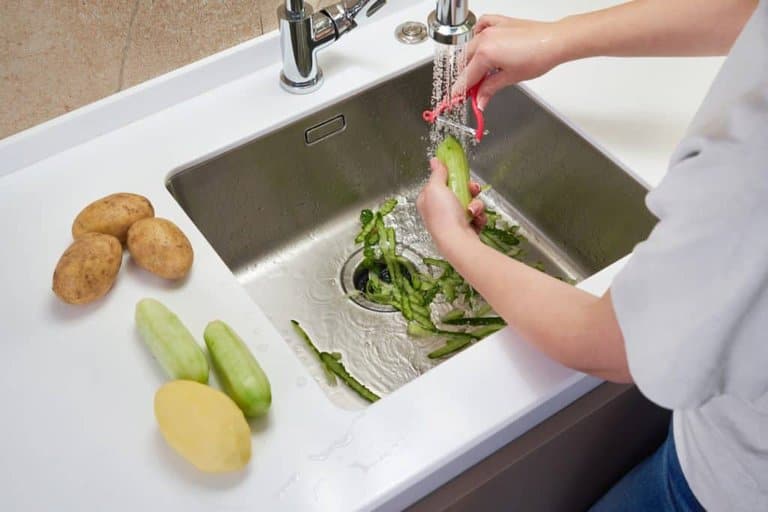 fibrous foods in garbage disposal