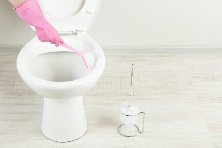 hand brushing toilet bowel