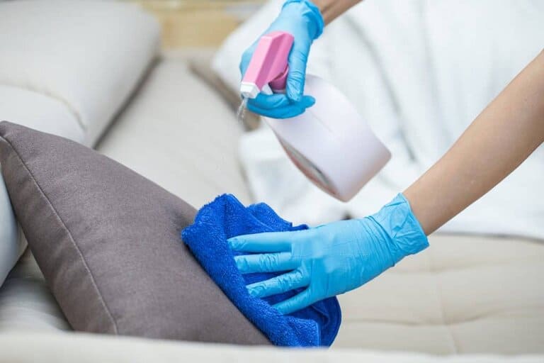 how to clean a couch after mice