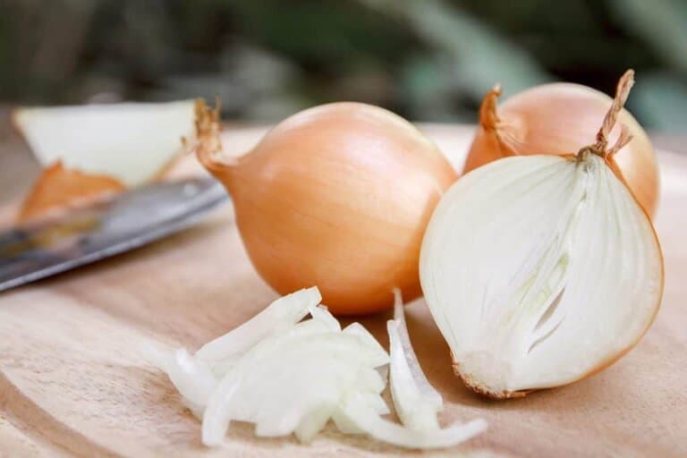 how to get onion smell out of plastic
