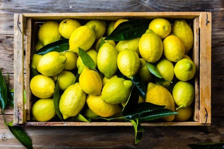 lemons in garbage disposal
