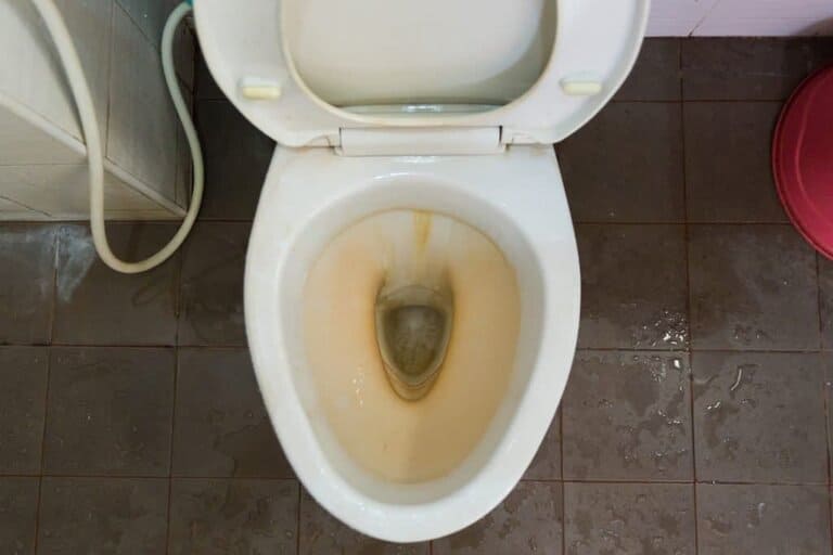 urine stain around base of toilet