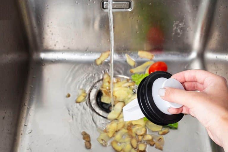 food by garbage disposal