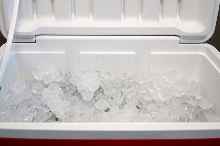 ice cooler for food