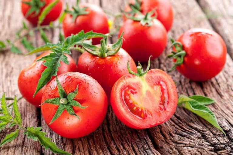 is tomato a citrus fruit