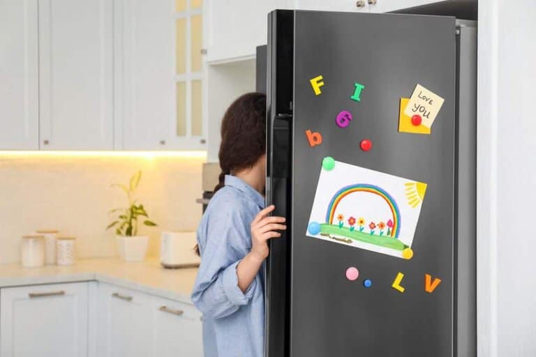 what makes the refrigerator door close automatically