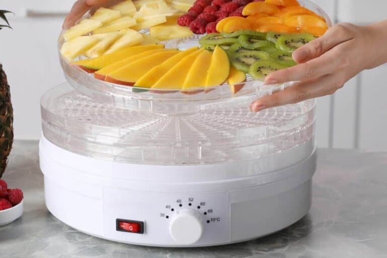 food dehydrator