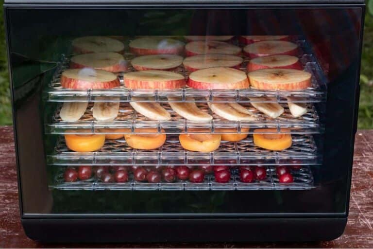 fruit inside food dehydrator