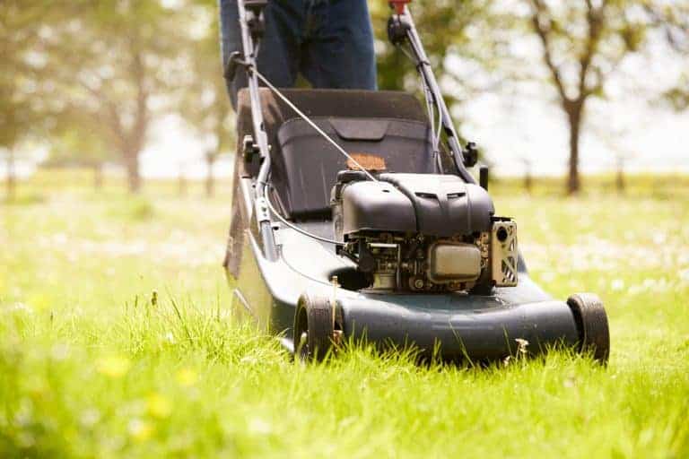 Man Working In Garden Cutting Grass