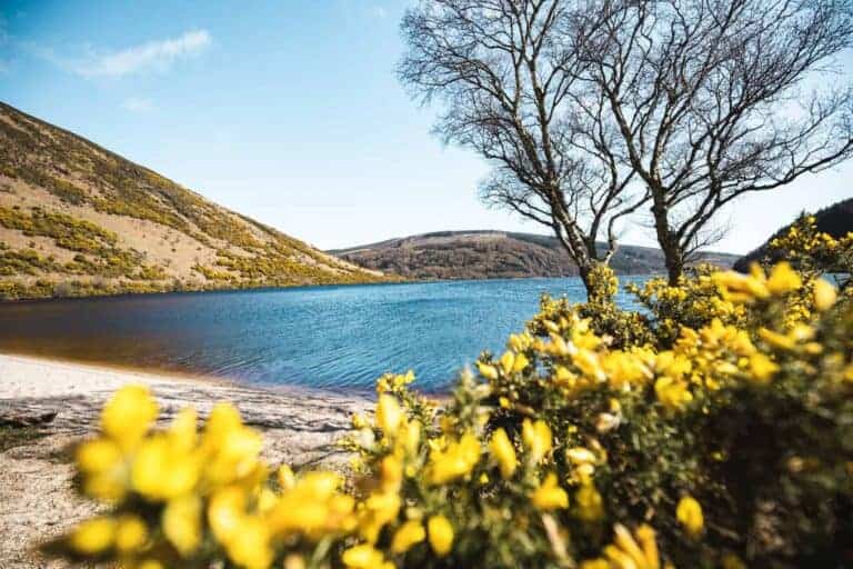 THINGS TO DO IN LEINSTER MEGA GUIDE visual data 8