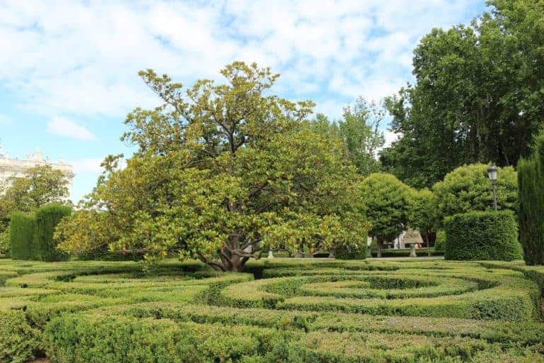 Botanischer Garten Krakau romantisch