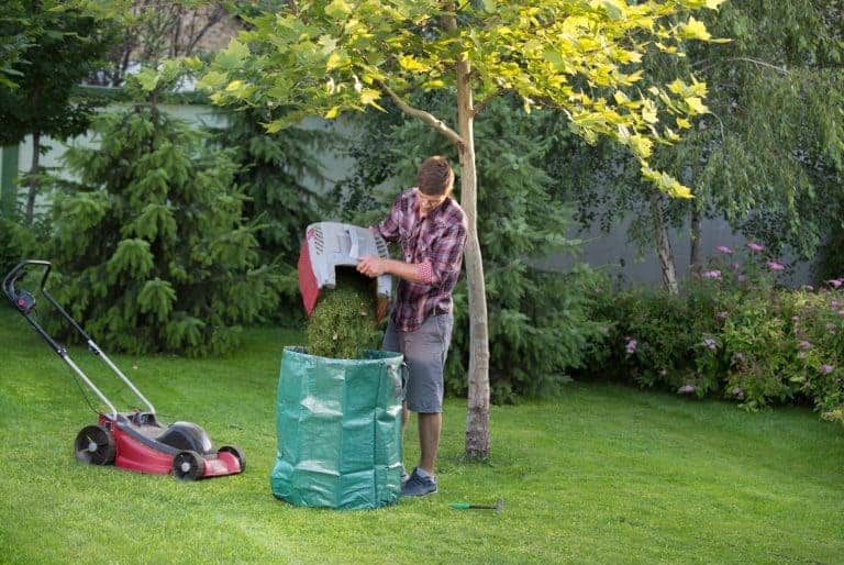 Gardener empty mower basket full of cuttings into plastic sack in garden
