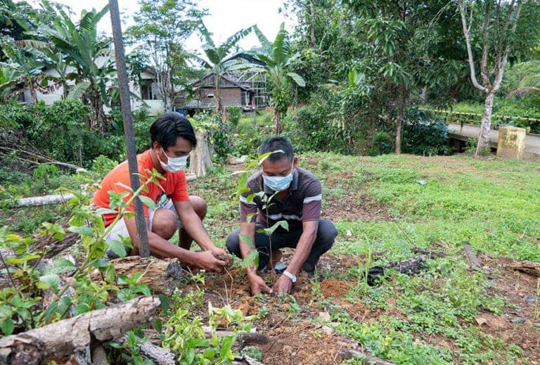 Damaskus Aman ikut peran juga dalam kegiatan menanam pohon di lokasi Kantor Desa pada hari kamis 12 November 2020.