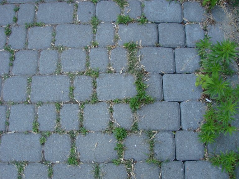Stone pavement texture. Granite cobblestoned pavement background. Abstract background of old cobblestone pavement close-up