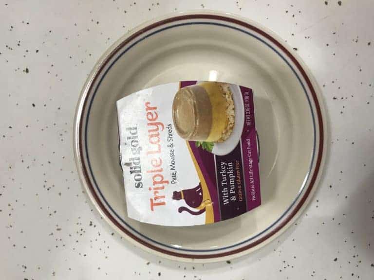 solid gold triple layer cat food cup on a plate