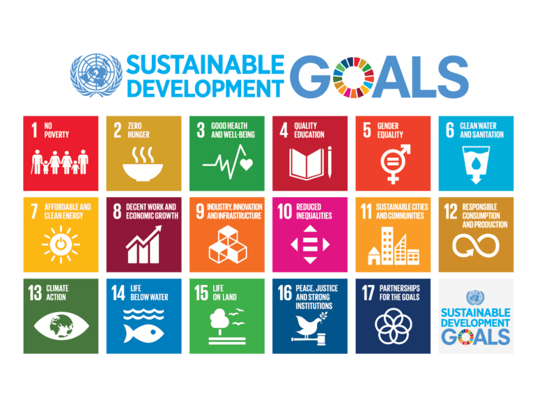 2021 Is The Year, Let’s Re-Energize Our SDG Efforts!