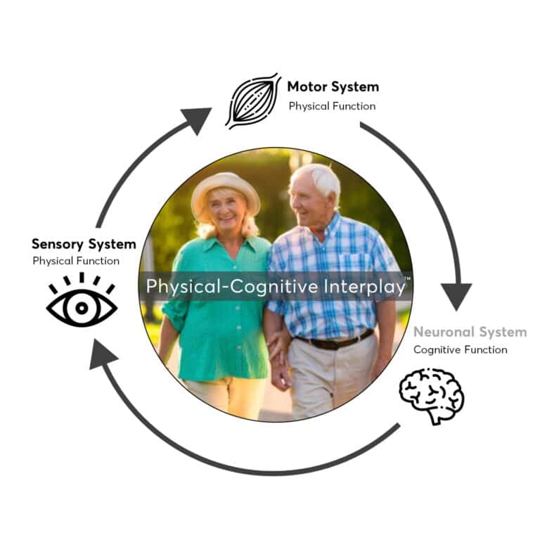 physical cognitive interplay
