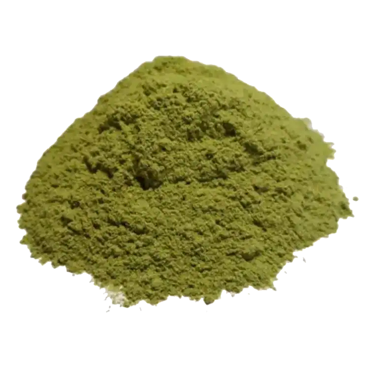 Super aliment Moringa antioxydant