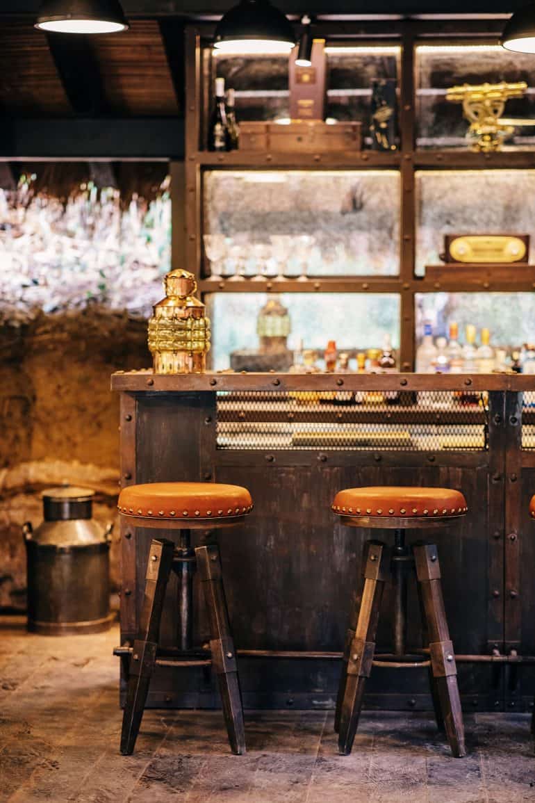 shintamaniwildlandingzonebar7 770x1155