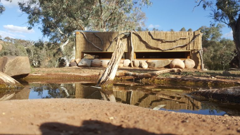 Wildlife Viewing Hide Brendon Bevan 770x433