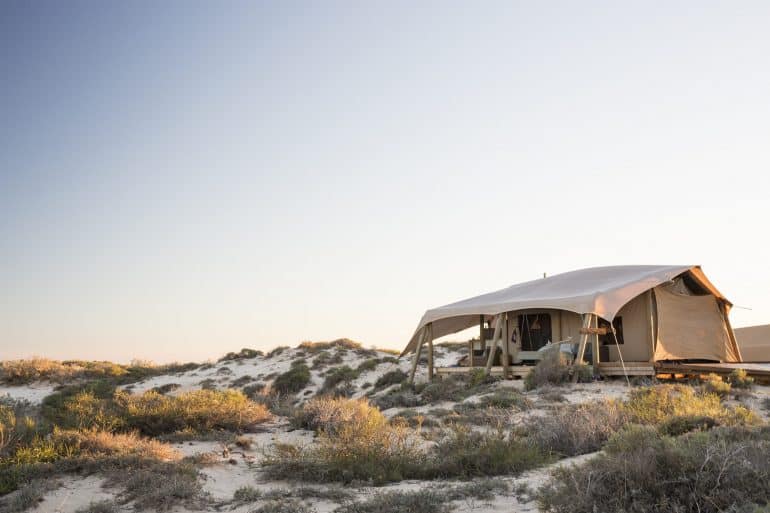 SS Accommodation Honeymoon Tent 3 scaled 1 770x513