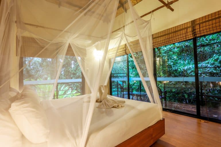 Deluxe Green Bungalow 3 770x513