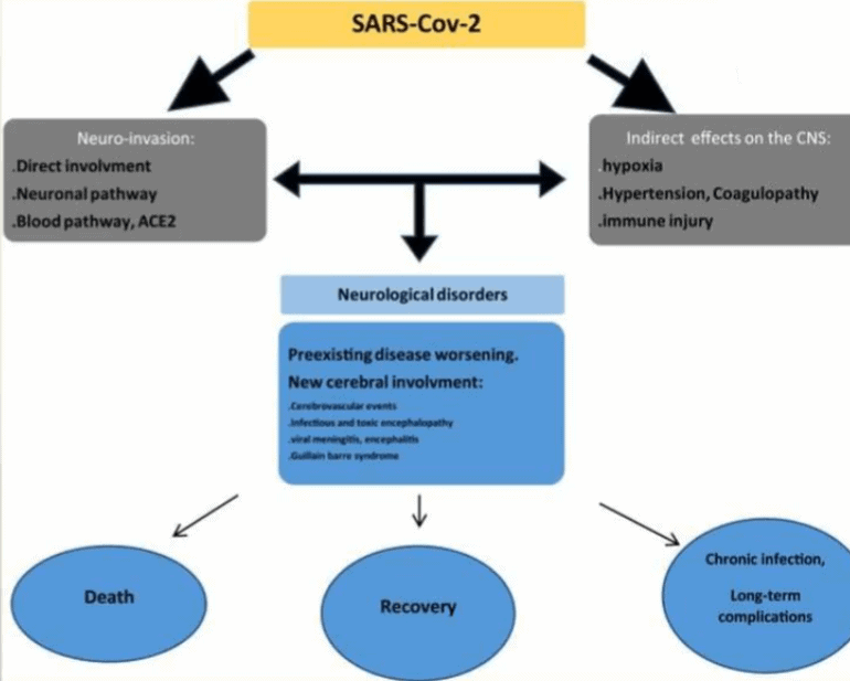Gambar 10. Mekanisme Infeksi Sistem Saraf dan Akibatnya Terhadap Neurologis Akibat SARS-CoV-2