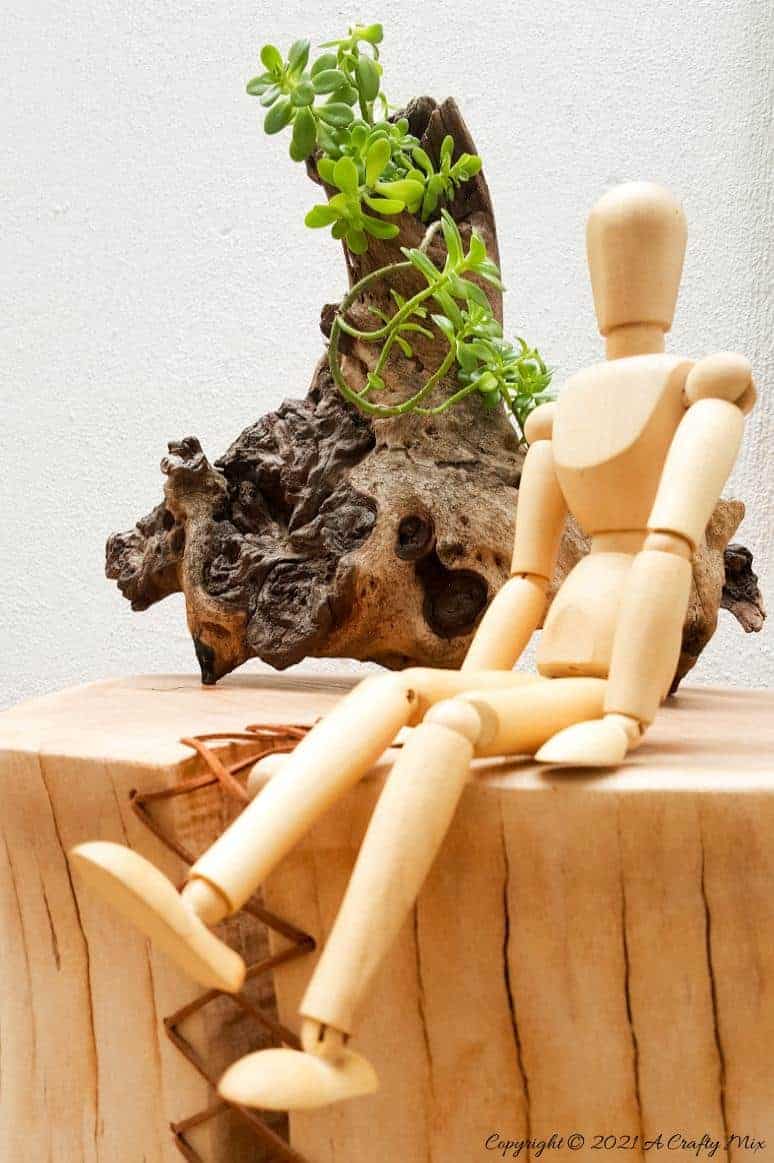 Do you have a gorgeous chunk of wood that’s developed a HUGE crack? Don't toss it out until you've seen how easy it is to turn a cracked wooden stump into a décor worthy feature. #HomeDecor #ACraftyMix #CrackedWood