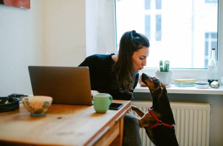 Legit Online Jobs Today You Can Do From Anywhere