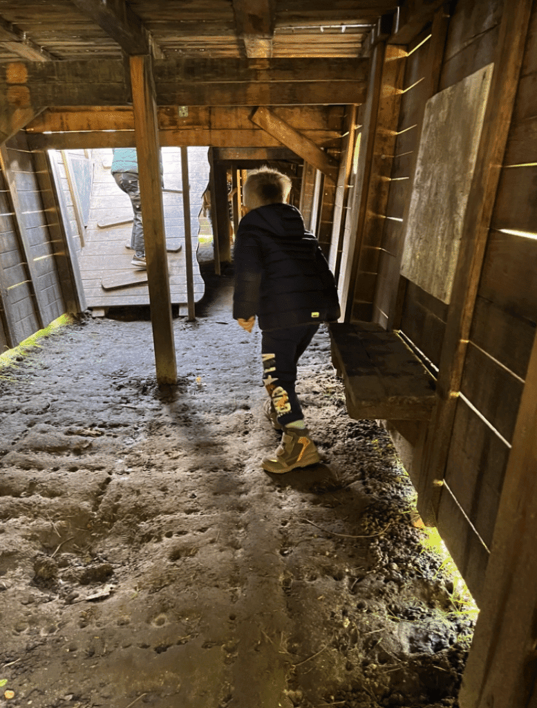Das Untergeschoss der Arche im Nikolauskloster