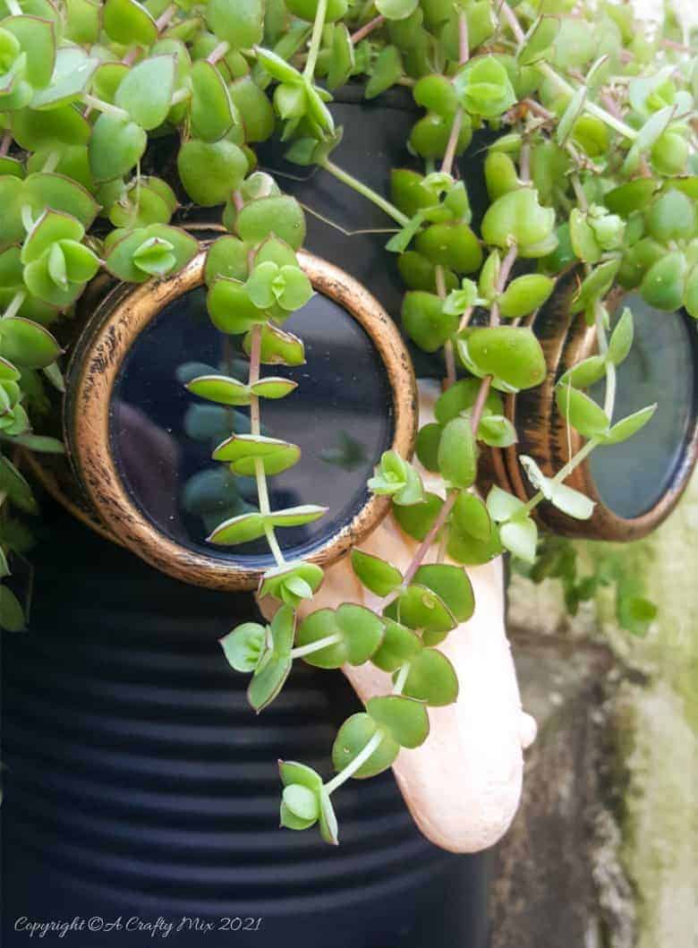 Looking for a creative way to repurpose a tin can? The you'll love this tin can steampunk planter. We call him Dr Edinose and he's sure to add a little whimsy to your outdoor decor. #steampunkplanter #ACraftyMix #TinCanRecycle