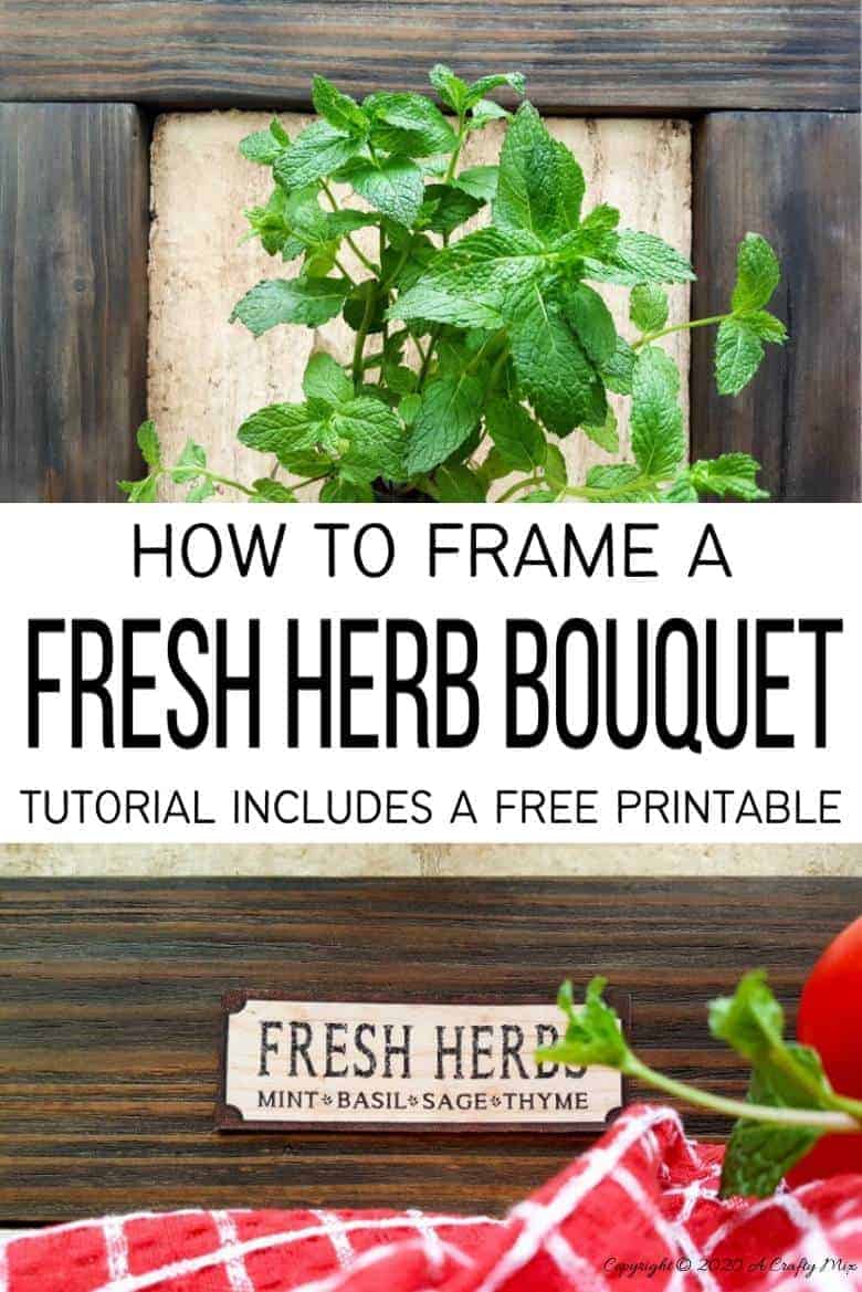 I love this fresh twist on the traditional herb garden. The framed bouquet of fresh herbs can be propped on the counter or hang it up if you prefer to keep your counters clutter free. #IndoorHerbs #IndoorGarden #FramedGarden #ACraftyMix #DistressedWall #DistressedFrame #GardenInspiration#FreshHerbs