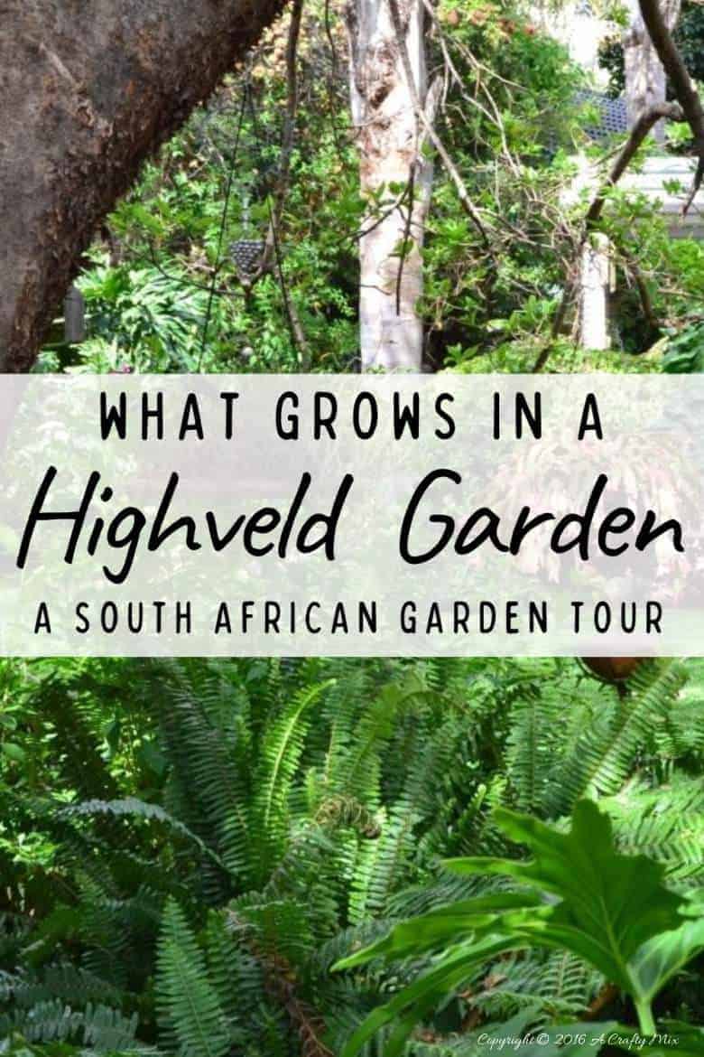 Come join us on a tour of a South African Highveld garden. It's filled gorgeous indigenous plants and fairy creations. #Gardentour #SouthAfrica #Highveld #ACraftyMix