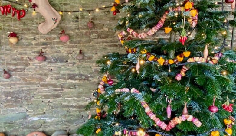 Christmas at Heligan - Christmas in Cornwall: Festive Magic on the Cornish Coast!
