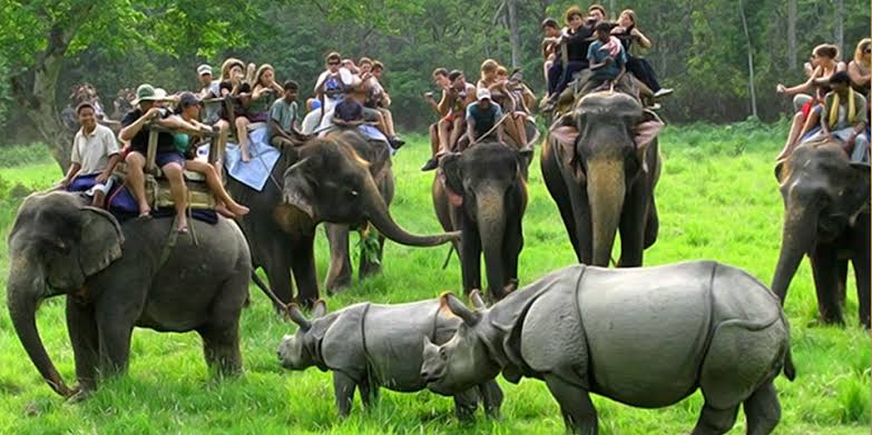 Kaziranga National Park