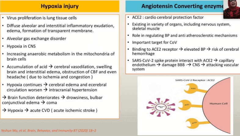 Gambar 9. Jalur Hipoksia dan ACE pada Coronavirus