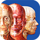 visible-body-courseware-80