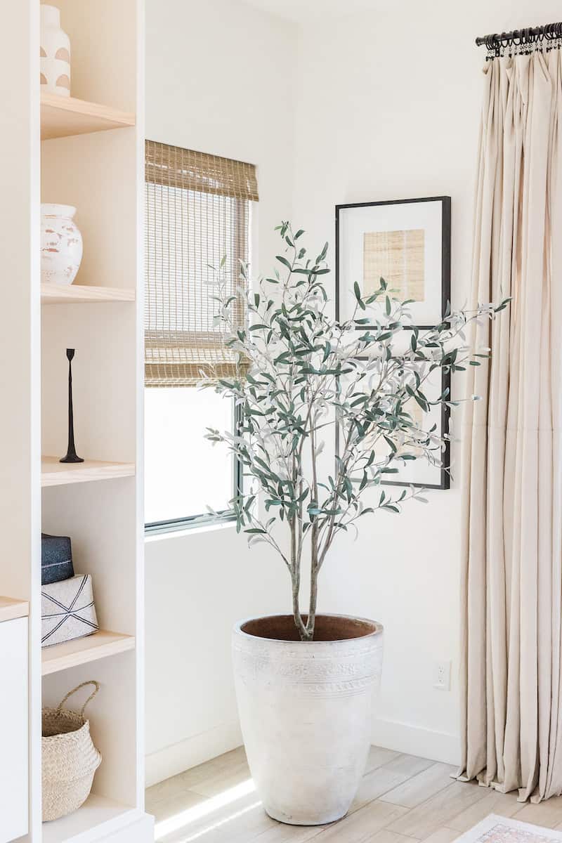potted tree in corner of living room next to sunny windows and styled shelves
