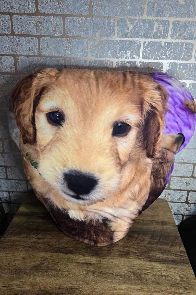 Cushion with a dog face on.
