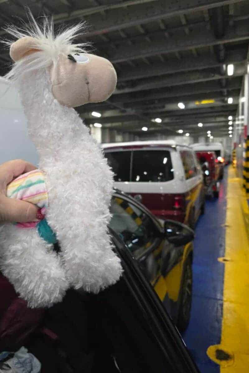 A plush llama toy is held outside a car window inside a Dover to Calais Ferry, with several cars lined up in rows on the ferry deck under bright overhead lights.