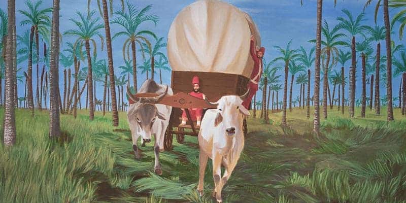 Muestra Museo Saavedra